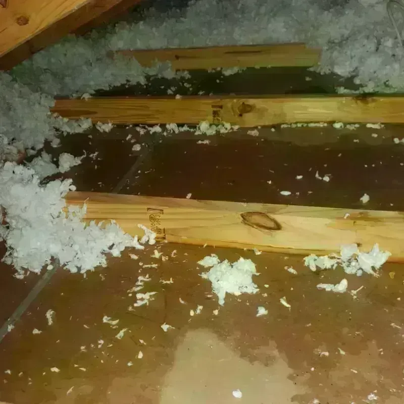 Attic Water Damage in Nashville, WI