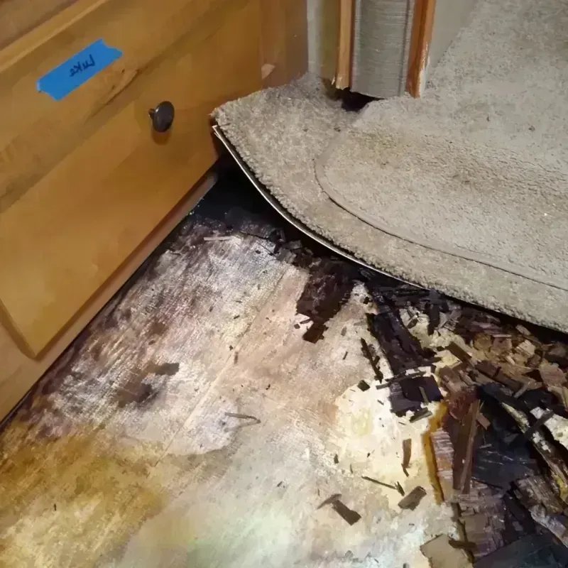 Wood Floor Water Damage in Nashville, WI